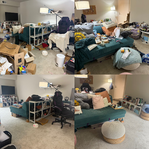 Living room before and after — Simply Spotless Fort Myers